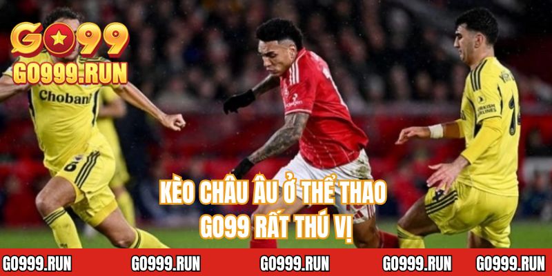 Kèo châu âu ở thể thao GO99 rất thú vị